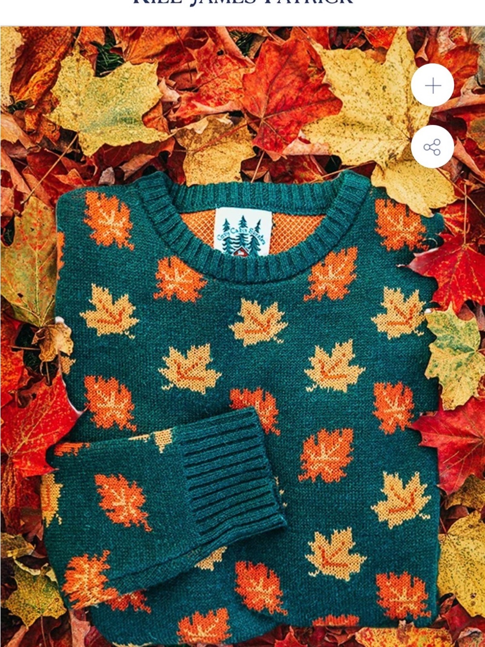 Kiel James Patrick Big Cozy Fall Leaf Sweater - Picture 4 of 6